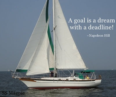 8 Steps Forward: Living the Dream