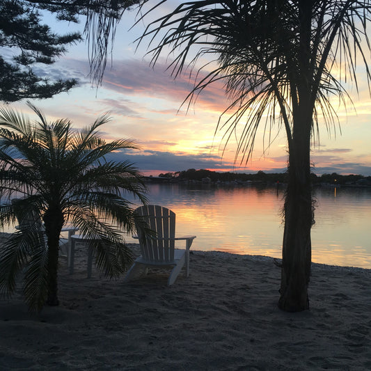 Sunset on a beach with palm trees