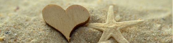 Wooden heart on a beach with starfish