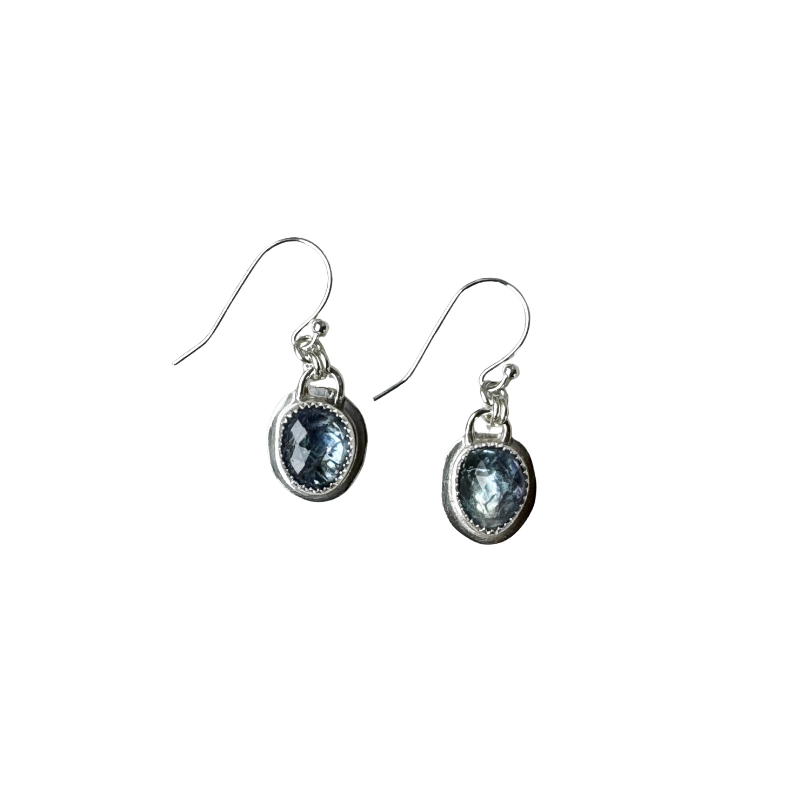 Bi-Color Tanzanite Earrings